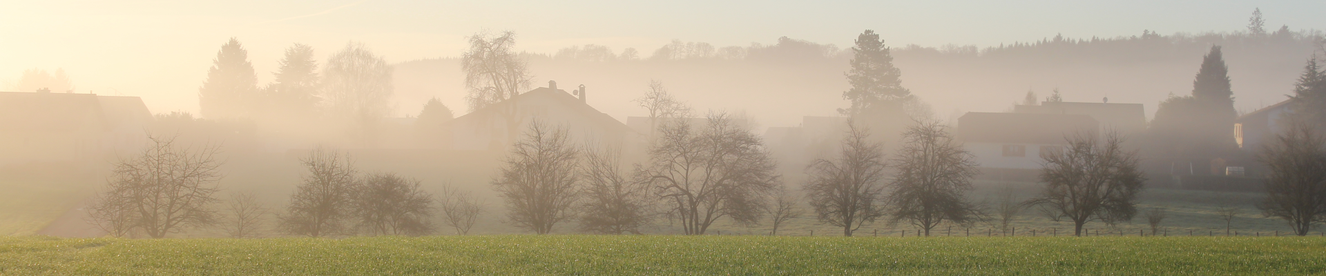 CARDIO Franche-Comté